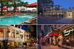 Best Luxury Hotels in the USA 2024 Crown American Hotels | Luxury, Comfort & Top Destinations Best Luxury Hotels in the USA 2024 | Crown American Hotels | Luxury, Comfort & Top Destinations