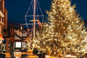 Top 10 Best US Cities for Christmas Getaways 2023 Crown American Hotels | Luxury, Comfort & Top Destinations Top 10 Best US Cities for Christmas Getaways 2023 | Crown American Hotels | Luxury, Comfort & Top Destinations