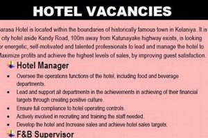 Find Hotels with Vacancy Near Me Now! Crown American Hotels | Luxury, Comfort & Top Destinations Find Hotels with Vacancy Near Me Now! | Crown American Hotels | Luxury, Comfort & Top Destinations