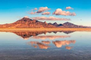 Salt Lake's Best Hotels: Top Picks & Deals Crown American Hotels | Luxury, Comfort & Top Destinations Salt Lake's Best Hotels: Top Picks & Deals | Crown American Hotels | Luxury, Comfort & Top Destinations