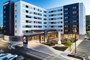 Best Element Hotel Mall of America Guide Crown American Hotels | Luxury, Comfort & Top Destinations Best Element Hotel Mall of America Guide | Crown American Hotels | Luxury, Comfort & Top Destinations