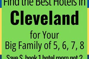 Best Hotel Rooms for 6 Guests in America Crown American Hotels | Luxury, Comfort & Top Destinations Best Hotel Rooms for 6 Guests in America | Crown American Hotels | Luxury, Comfort & Top Destinations