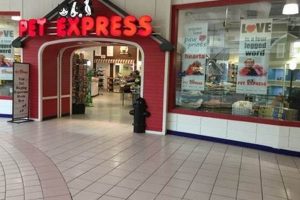 Best Pet Express in Braintree MA | Pet Supplies Crown American Hotels | Luxury, Comfort & Top Destinations Best Pet Express in Braintree MA | Pet Supplies | Crown American Hotels | Luxury, Comfort & Top Destinations