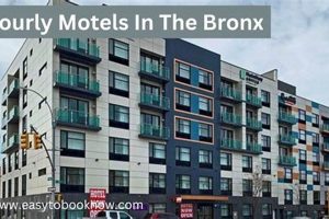 Best Day Use Motels: Hourly Rates & Deals Crown American Hotels | Luxury, Comfort & Top Destinations Best Day Use Motels: Hourly Rates & Deals | Crown American Hotels | Luxury, Comfort & Top Destinations