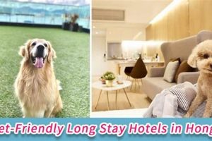 Top Pet-Friendly Extended Stay Hotels Crown American Hotels | Luxury, Comfort & Top Destinations Top Pet-Friendly Extended Stay Hotels | Crown American Hotels | Luxury, Comfort & Top Destinations