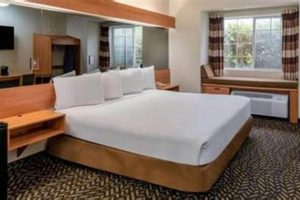 Best Early Check-in Hotels in Salt Lake City, UT Crown American Hotels | Luxury, Comfort & Top Destinations Best Early Check-in Hotels in Salt Lake City, UT | Crown American Hotels | Luxury, Comfort & Top Destinations