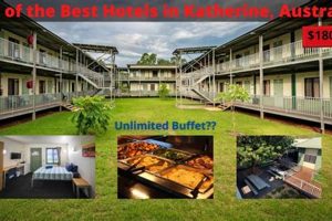 Book a One Day Hotel Stay: Quick & Easy Crown American Hotels | Luxury, Comfort & Top Destinations Book a One Day Hotel Stay: Quick & Easy | Crown American Hotels | Luxury, Comfort & Top Destinations