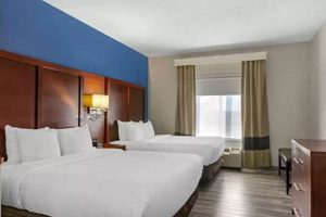 Top Pet-Friendly Extended Stay Hotels Near You Crown American Hotels | Luxury, Comfort & Top Destinations Top Pet-Friendly Extended Stay Hotels Near You | Crown American Hotels | Luxury, Comfort & Top Destinations