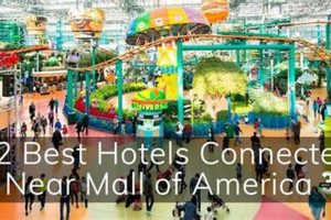 Top Hotels Near Mall of America: 2024 Guide Crown American Hotels | Luxury, Comfort & Top Destinations Top Hotels Near Mall of America: 2024 Guide | Crown American Hotels | Luxury, Comfort & Top Destinations