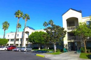 Find the Nearest Motel 8 Locations Near You Crown American Hotels | Luxury, Comfort & Top Destinations Find the Nearest Motel 8 Locations Near You | Crown American Hotels | Luxury, Comfort & Top Destinations