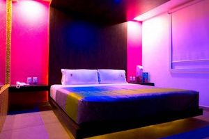 Best Suite Motels: Comfort & Value Crown American Hotels | Luxury, Comfort & Top Destinations Best Suite Motels: Comfort & Value | Crown American Hotels | Luxury, Comfort & Top Destinations