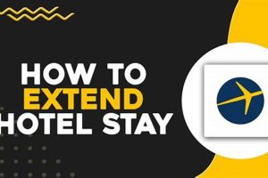 Easy Tips to Extend Your Hotel Stay Longer Crown American Hotels | Luxury, Comfort & Top Destinations Easy Tips to Extend Your Hotel Stay Longer | Crown American Hotels | Luxury, Comfort & Top Destinations