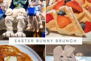 Best Brunch Spots in Freehold NJ | America Hotel Crown American Hotels | Luxury, Comfort & Top Destinations Best Brunch Spots in Freehold NJ | America Hotel | Crown American Hotels | Luxury, Comfort & Top Destinations