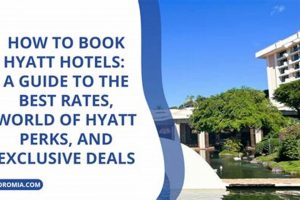 Find America Hotel's Best Rates Now! Crown American Hotels | Luxury, Comfort & Top Destinations Find America Hotel's Best Rates Now! | Crown American Hotels | Luxury, Comfort & Top Destinations