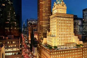 Luxury Hotels In The Us Crown American Hotels | Luxury, Comfort & Top Destinations Luxury Hotels In The Us | Crown American Hotels | Luxury, Comfort & Top Destinations
