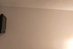 Motel In My Area Crown American Hotels | Luxury, Comfort & Top Destinations Motel In My Area | Crown American Hotels | Luxury, Comfort & Top Destinations