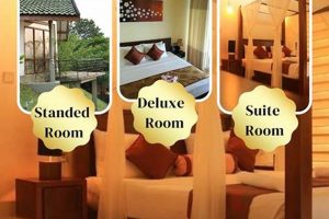 Your Guide to a Stranded Stay in a Hotel Crown American Hotels | Luxury, Comfort & Top Destinations Your Guide to a Stranded Stay in a Hotel | Crown American Hotels | Luxury, Comfort & Top Destinations