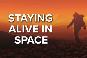 Find Your Perfect Stay: Hotels & More Crown American Hotels | Luxury, Comfort & Top Destinations Find Your Perfect Stay: Hotels & More | Crown American Hotels | Luxury, Comfort & Top Destinations