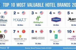 Best US Hotels List (2024) | Find Deals Crown American Hotels | Luxury, Comfort & Top Destinations Best US Hotels List (2024) | Find Deals | Crown American Hotels | Luxury, Comfort & Top Destinations