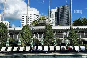 Boutique Albion Hotel: Miami Beach Getaway | Crown American Hotels | Luxury, Comfort & Top Destinations