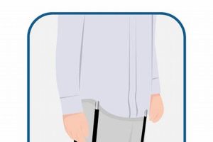 Unforgettable Stays in: Luxurious Hotel Retreats | Crown American Hotels | Luxury, Comfort & Top Destinations