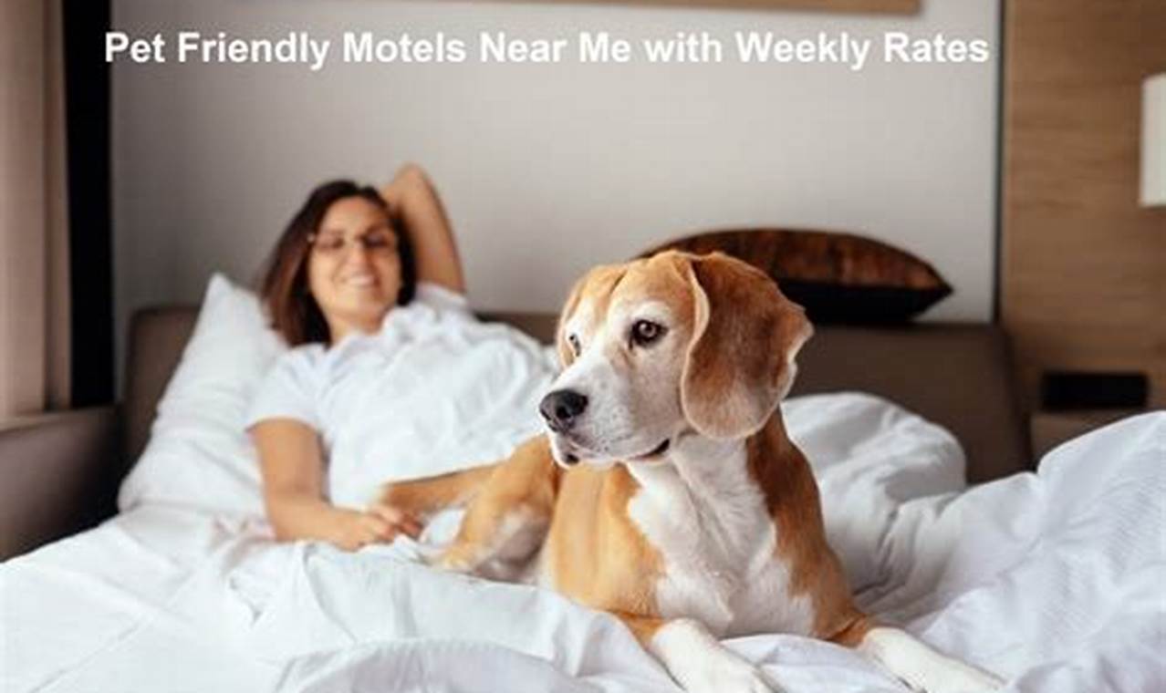 Pet Friendly Motels Near Me