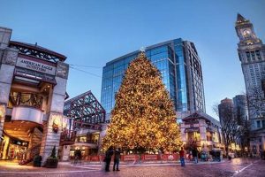 Top Christmas Cities for a Festive Getaway | Crown American Hotels | Luxury, Comfort & Top Destinations