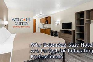 Best Hotels for Month-Long Stays: Find Your Perfect Match | Crown American Hotels | Luxury, Comfort & Top Destinations