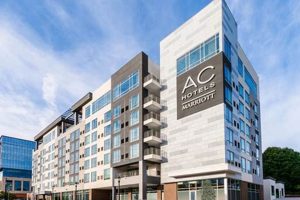 Modern AC Hotel by Marriott Boston Cambridge | Crown American Hotels | Luxury, Comfort & Top Destinations