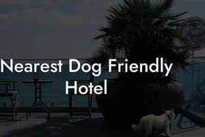 Find The Nearest Hotel Crown American Hotels | Luxury, Comfort & Top Destinations Find The Nearest Hotel | Crown American Hotels | Luxury, Comfort & Top Destinations