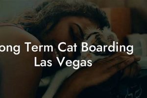 Best Long-Term Hotel Stays in Las Vegas Crown American Hotels | Luxury, Comfort & Top Destinations Best Long-Term Hotel Stays in Las Vegas | Crown American Hotels | Luxury, Comfort & Top Destinations