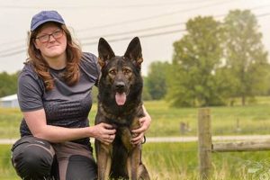 Best Hotels Near Me Within 20 Mi: Find Deals | Crown American Hotels | Luxury, Comfort & Top Destinations