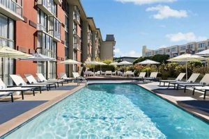 Best Day Use Hotels in San Francisco: Top Picks | Crown American Hotels | Luxury, Comfort & Top Destinations