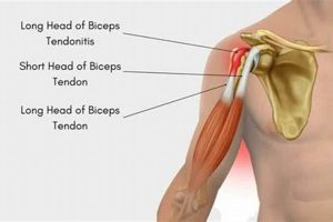 Extrnded Crown American Hotels | Luxury, Comfort & Top Destinations Extrnded | Crown American Hotels | Luxury, Comfort & Top Destinations