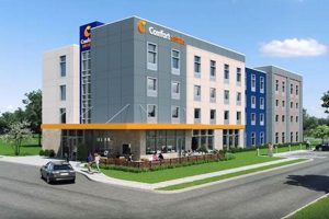 Best Comfort Hotels in America: Top Picks Crown American Hotels | Luxury, Comfort & Top Destinations Best Comfort Hotels in America: Top Picks | Crown American Hotels | Luxury, Comfort & Top Destinations