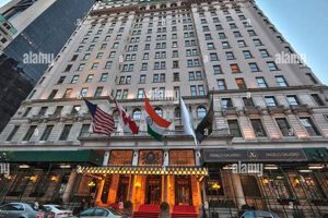 Best America New York Hotels: Top Deals & Discounts Crown American Hotels | Luxury, Comfort & Top Destinations Best America New York Hotels: Top Deals & Discounts | Crown American Hotels | Luxury, Comfort & Top Destinations