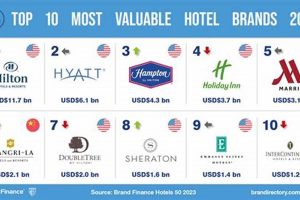 Top Hotels in America: Find Your Perfect Stay Crown American Hotels | Luxury, Comfort & Top Destinations Top Hotels in America: Find Your Perfect Stay | Crown American Hotels | Luxury, Comfort & Top Destinations