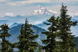 Best Snoqu Hotels in America: Top Picks | Crown American Hotels | Luxury, Comfort & Top Destinations