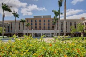 Top Hilton Hotels in South America Book Now Crown American Hotels | Luxury, Comfort & Top Destinations Top Hilton Hotels in South America Book Now | Crown American Hotels | Luxury, Comfort & Top Destinations