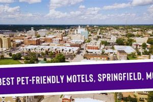 Top Pet-Friendly Weekly Motels: Find Your Extended Stay | Crown American Hotels | Luxury, Comfort & Top Destinations
