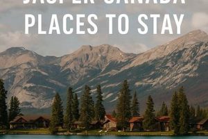 Find Amazing Places to Stay for Free Today! | Crown American Hotels | Luxury, Comfort & Top Destinations