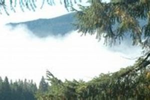 Bed And Breakfast Snoqualmie Wa Crown American Hotels | Luxury, Comfort & Top Destinations Bed And Breakfast Snoqualmie Wa | Crown American Hotels | Luxury, Comfort & Top Destinations