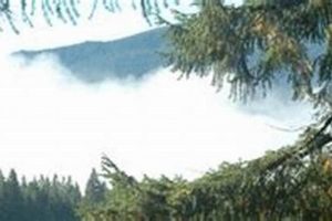 Hotels In Snoqualmie Pass Wa | Crown American Hotels | Luxury, Comfort & Top Destinations