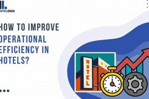 Boosting America Hotel Efficiency: Top Tips & Tricks | Crown American Hotels | Luxury, Comfort & Top Destinations