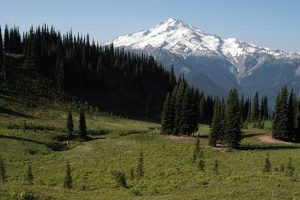 Snowqulmie Hotels: America's Winter Stays Crown American Hotels | Luxury, Comfort & Top Destinations Snowqulmie Hotels: America's Winter Stays | Crown American Hotels | Luxury, Comfort & Top Destinations