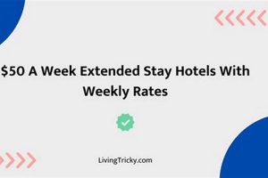 Best Extended Stay Hotels: Cheap Weekly Rates & Deals Crown American Hotels | Luxury, Comfort & Top Destinations Best Extended Stay Hotels: Cheap Weekly Rates & Deals | Crown American Hotels | Luxury, Comfort & Top Destinations