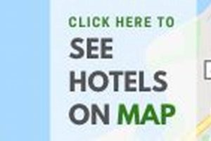 Best Hotel Near Bank of America Stadium: Top Picks | Crown American Hotels | Luxury, Comfort & Top Destinations