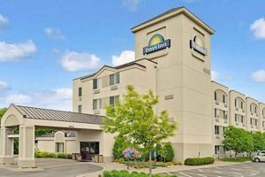 Top Pet-Friendly Hotels Near Mall of America MN Crown American Hotels | Luxury, Comfort & Top Destinations Top Pet-Friendly Hotels Near Mall of America MN | Crown American Hotels | Luxury, Comfort & Top Destinations