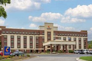 Best Discount Hotels Near You: Book Now & Save Crown American Hotels | Luxury, Comfort & Top Destinations Best Discount Hotels Near You: Book Now & Save | Crown American Hotels | Luxury, Comfort & Top Destinations