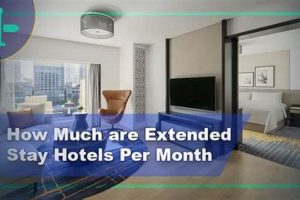 Average Hotel Cost Per Month: Guide &amp; Tips | Crown American Hotels | Luxury, Comfort & Top Destinations